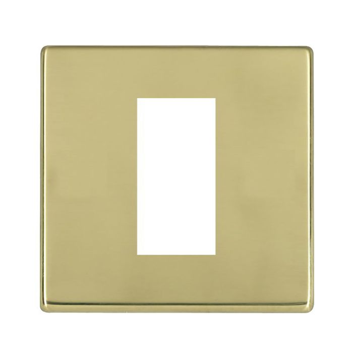 Hamilton 7G21EURO1 G2 Polished Brass 1 module Euro plate